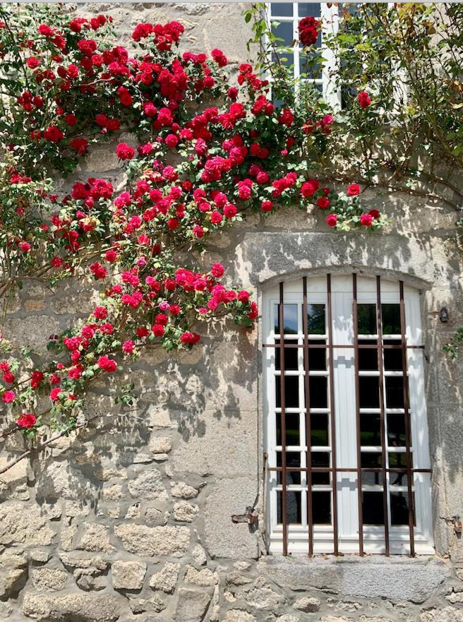 Chateau De La Borde A Ussel, Centre-Ville, Proche Autoroute A89 อุสเซล ภายนอก รูปภาพ